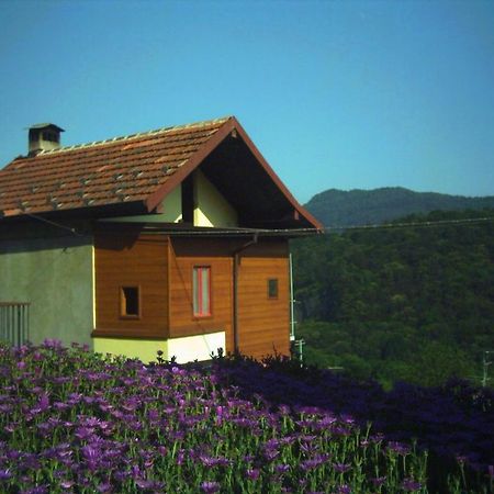 B&B Cip E Ciop Miazzina Exteriér fotografie