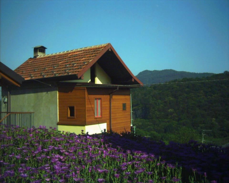 B&B Cip E Ciop Miazzina Exteriér fotografie