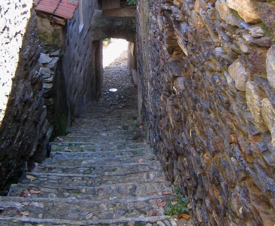 B&B Cip E Ciop Miazzina Exteriér fotografie